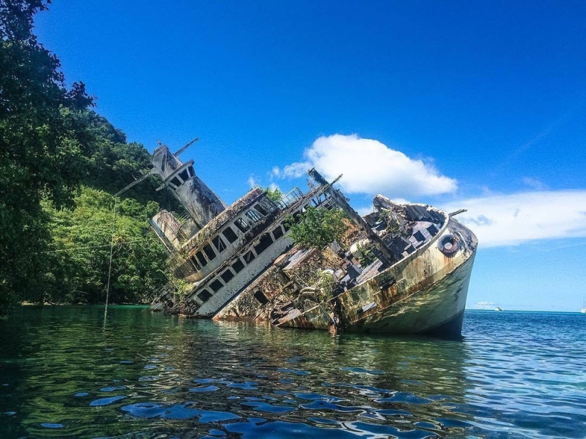 Abandoned in the Middle of Paradise: Cruise Ship Becomes World Famous After Crash