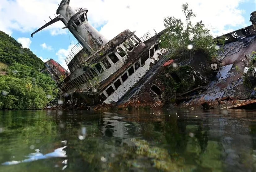 Abandoned in the Middle of Paradise: Cruise Ship Becomes World Famous After Crash