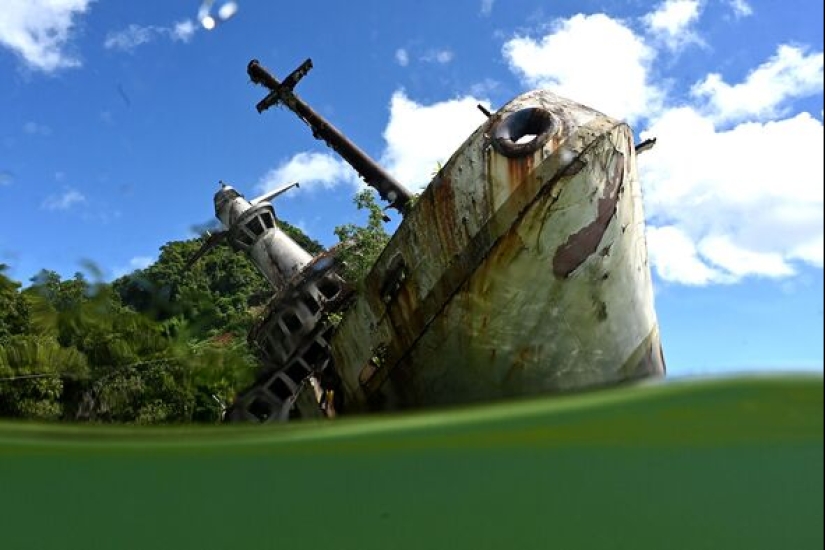 Abandoned in the Middle of Paradise: Cruise Ship Becomes World Famous After Crash