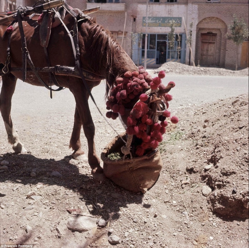 Afghanistan in the 60-70s in the pictures of a French photographer Afghanistan in the 60-70s in the pictures of a French photographer