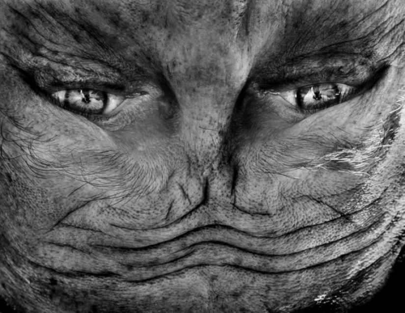 Aliens Among Us: Una cara invertida que se asemeja a un Aliens Among Us: Una cara invertida que se asemeja a un