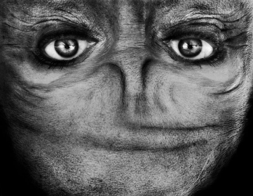 Aliens Among Us: Una cara invertida que se asemeja a un Aliens Among Us: Una cara invertida que se asemeja a un