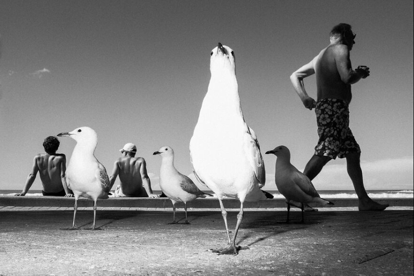 All About Photo Magazine Awards 2024: Here Are 15 Of The Most Beautiful Black And White Photographs All About Photo Magazine Awards 2024: Here Are 15 Of The Most Beautiful Black And White Photographs