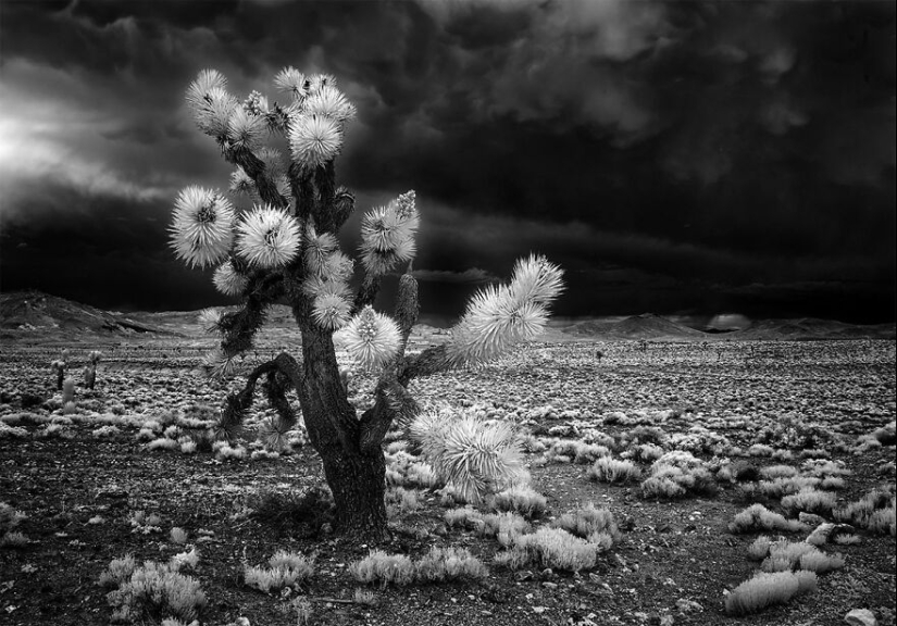 All About Photo Magazine Awards 2024: Here Are 15 Of The Most Beautiful Black And White Photographs All About Photo Magazine Awards 2024: Here Are 15 Of The Most Beautiful Black And White Photographs