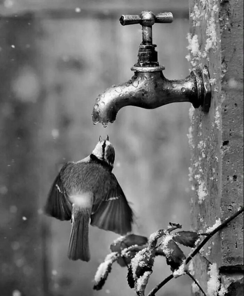 Amusing Urban Life: 10 Pictures Shared On This Instagram Account Amusing Urban Life: 10 Pictures Shared On This Instagram Account