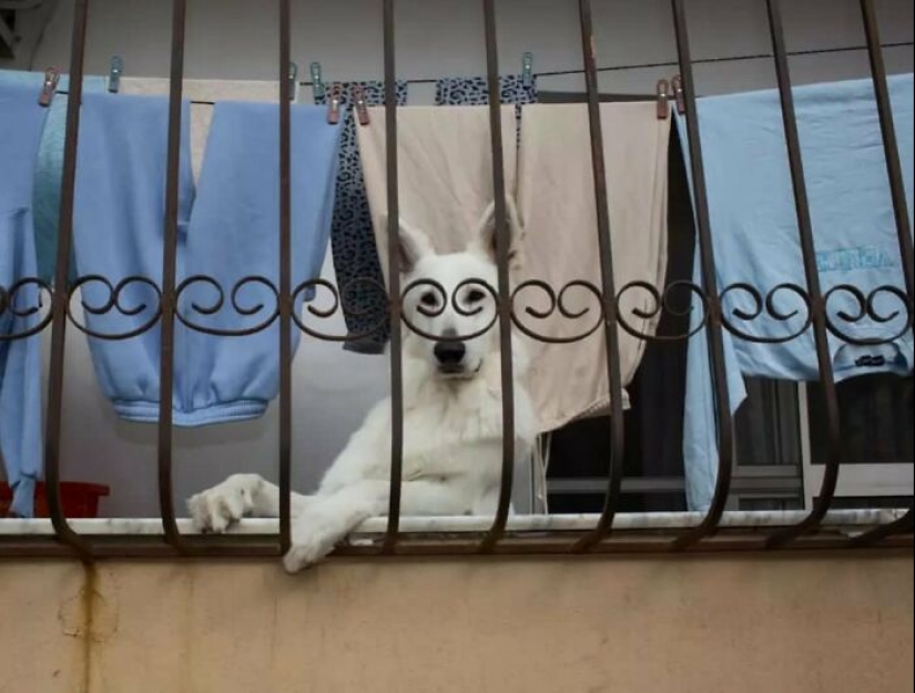 Amusing Urban Life: 10 Pictures Shared On This Instagram Account Amusing Urban Life: 10 Pictures Shared On This Instagram Account