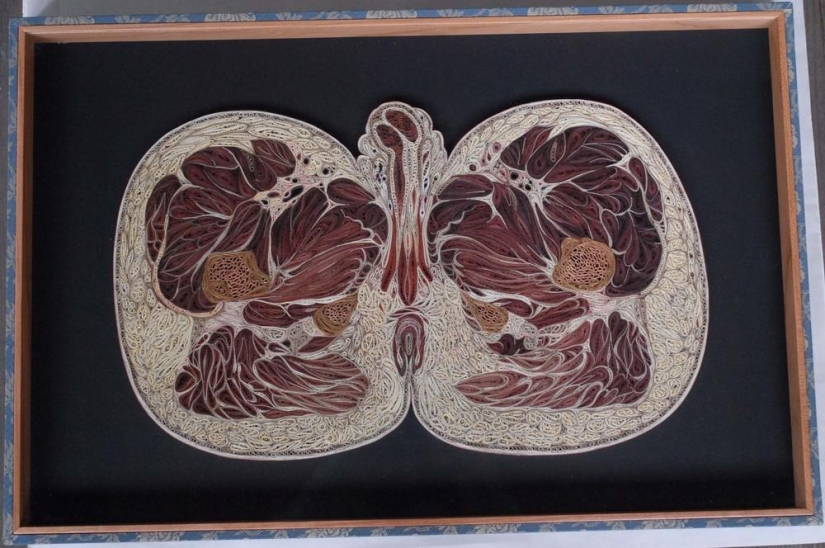 Anatomía del Papel Anatomía del Papel