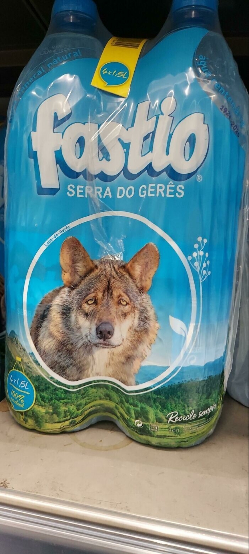 Apocalipsis estético tal como es: 22 ejemplos de diseño pésimo