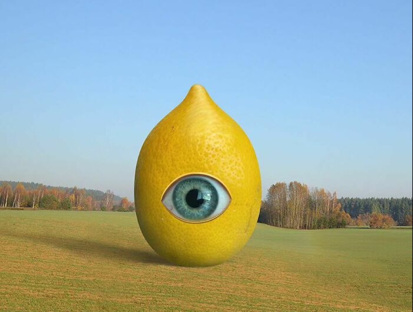 Artist Combines Genetically Modified Produce With Architecture To Create Surreal Structures Artist Combines Genetically Modified Produce With Architecture To Create Surreal Structures