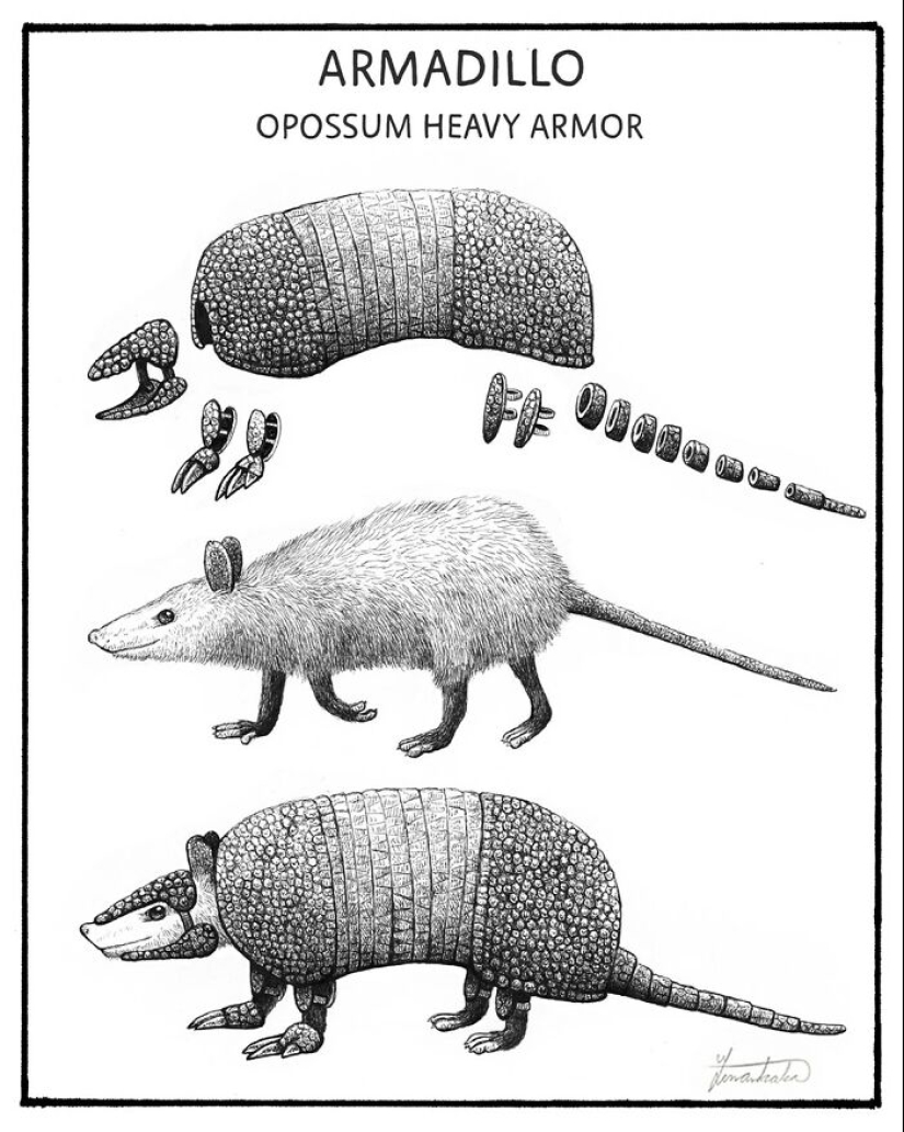 Artist Illustrates Funny-Looking Surreal Animals In A Scientific Encyclopedia Type Of Style