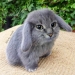 Artist Photoshops Cat Faces On Almost Everything And Here Is The Result Artist Photoshops Cat Faces On Almost Everything And Here Is The Result