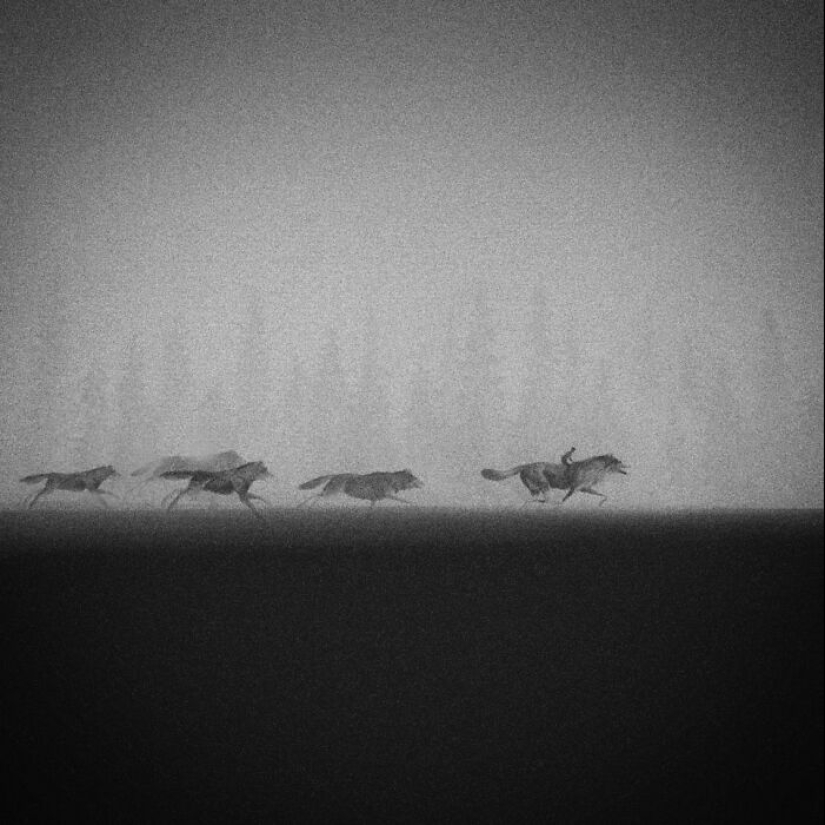 Artista crea pinturas en blanco y negro que reflejan el vínculo entre los humanos, la naturaleza y los animales