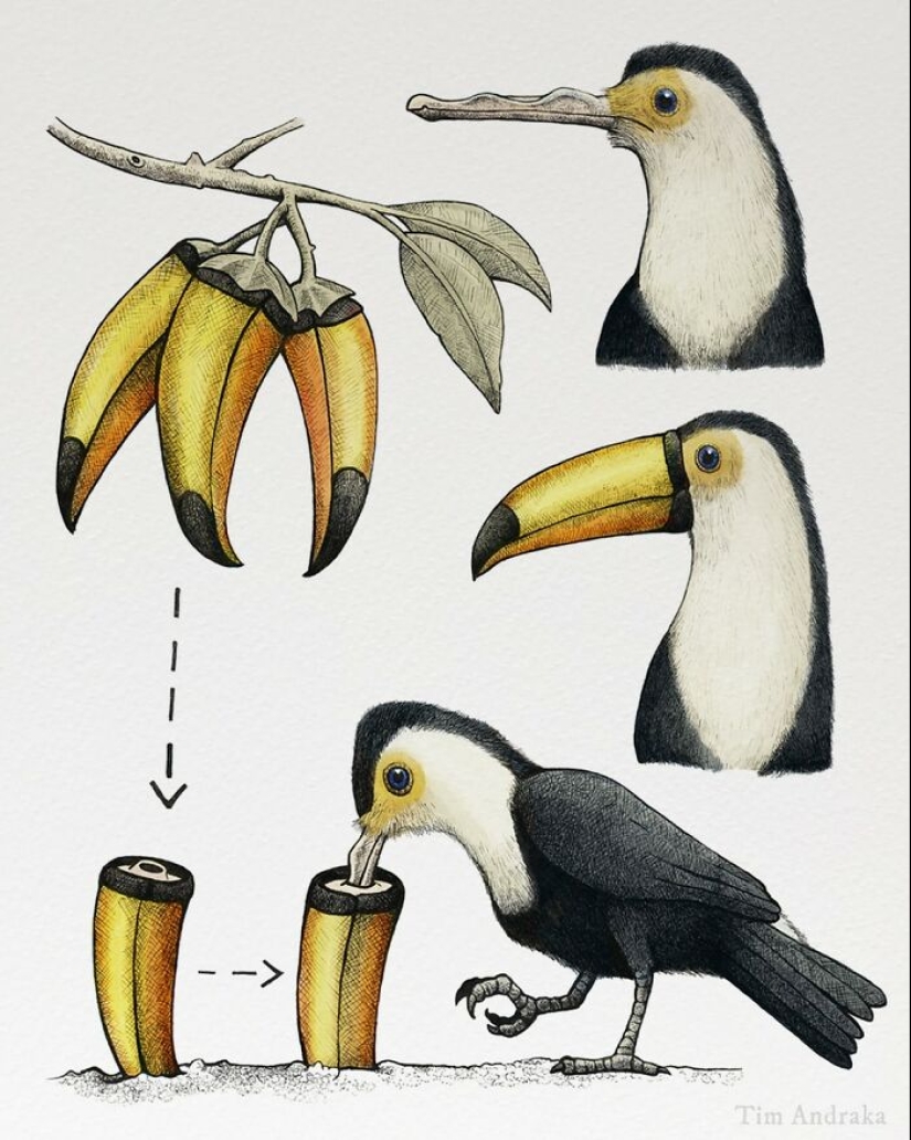 Artista ilustra animales surrealistas de aspecto divertido en un tipo de estilo de enciclopedia científica