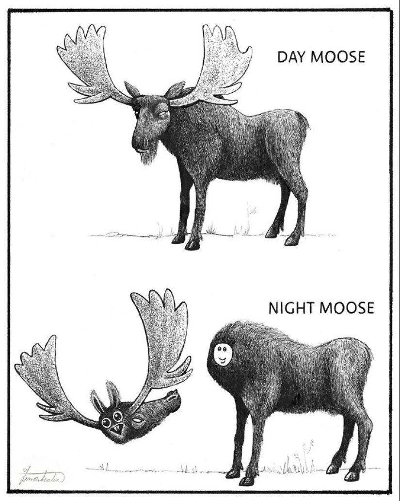 Artista ilustra animales surrealistas de aspecto divertido en un tipo de estilo de enciclopedia científica