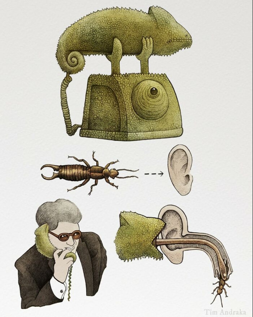 Artista ilustra animales surrealistas de aspecto divertido en un tipo de estilo de enciclopedia científica