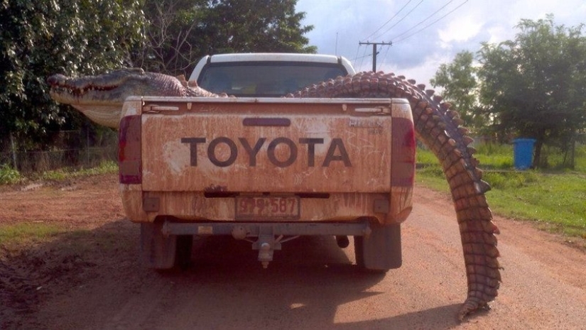 Australia es un continente mortal