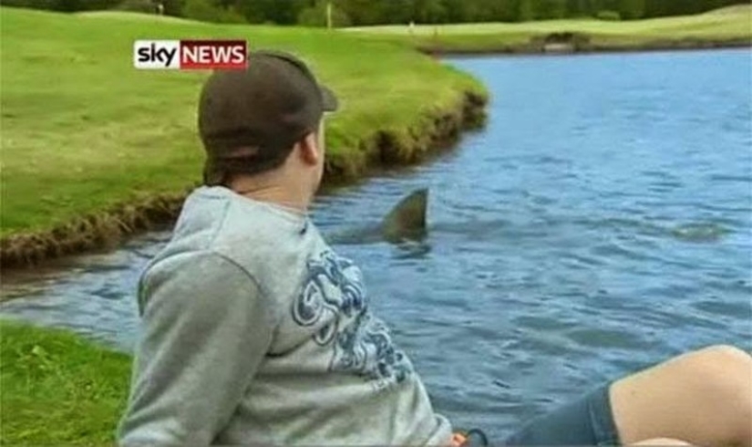 Australia es un continente mortal