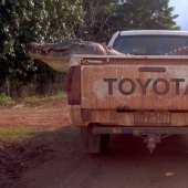 Australia es un continente mortal