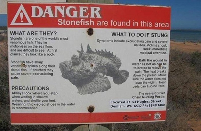 Australia es un continente mortal