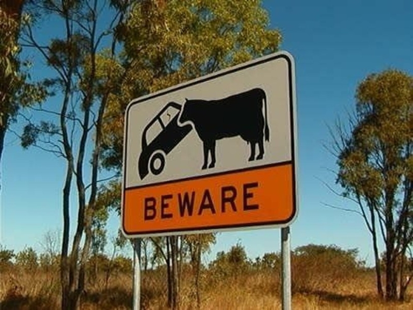Australia es un continente mortal