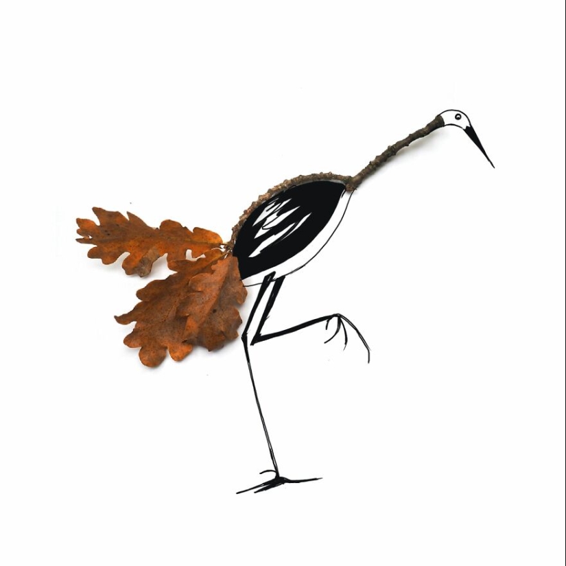 Autumn Is My Favourite Season And I Love Collecting Autumn Leaves, Photographing Them And Then Creating Illustrations Out Of Them Autumn Is My Favourite Season And I Love Collecting Autumn Leaves, Photographing Them And Then Creating Illustrations Out Of Them