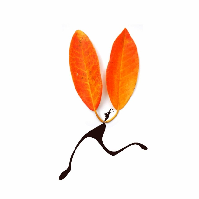 Autumn Is My Favourite Season And I Love Collecting Autumn Leaves, Photographing Them And Then Creating Illustrations Out Of Them Autumn Is My Favourite Season And I Love Collecting Autumn Leaves, Photographing Them And Then Creating Illustrations Out Of Them