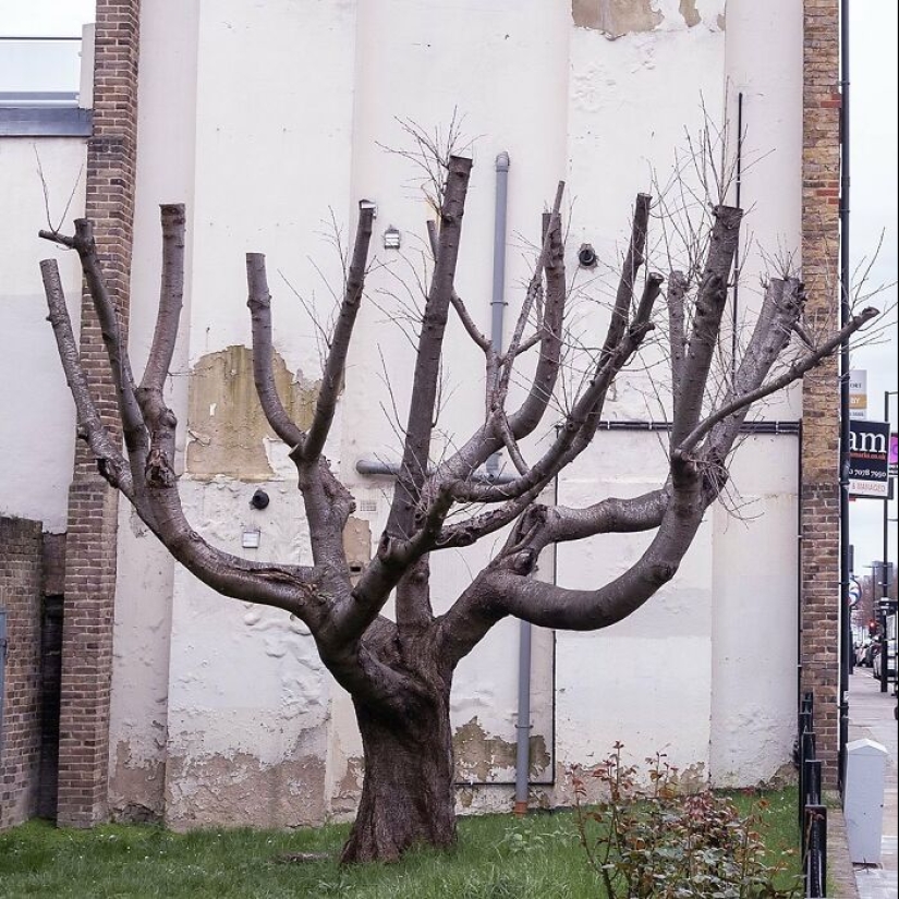 Banksy Confirms New Masterpiece On Side Of London Building Is His Own Banksy Confirms New Masterpiece On Side Of London Building Is His Own