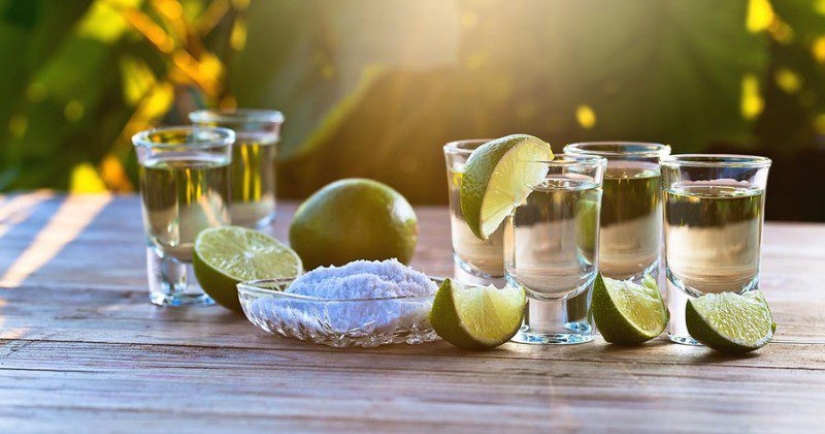 Beber y perder peso encontrado en la bebida alcohólica que ayuda a perder peso
