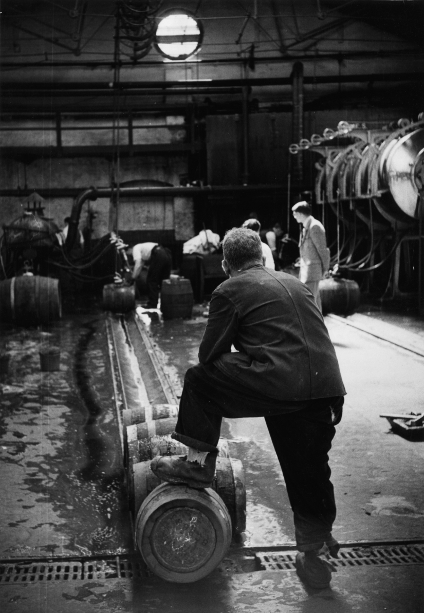 Beer Love Post: cómo cocinar un verdadero " Guinness»