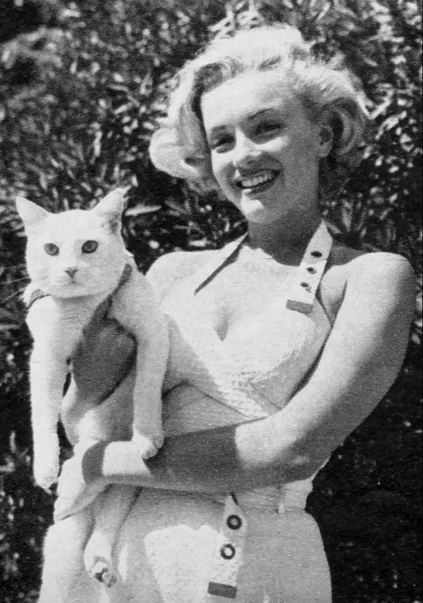 Behind every great man there is a cat Behind every great man there is a cat