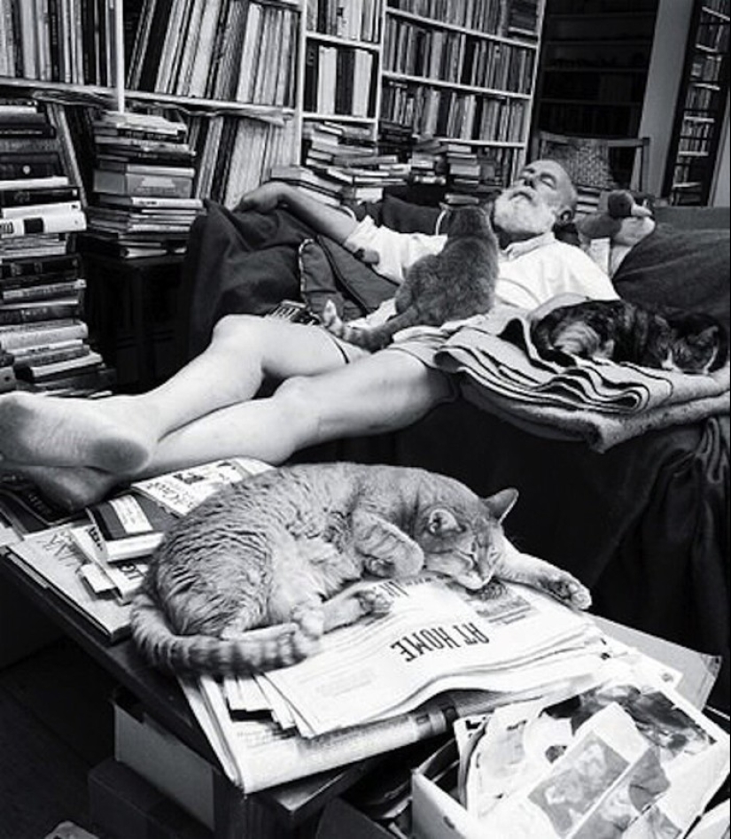 Behind every great man there is a cat Behind every great man there is a cat