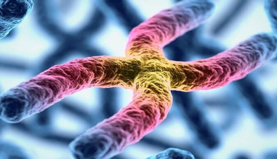 Belleza interior: un microbiólogo de Ufa muestra en Instagram los virus y bacterias que viven en nosotros