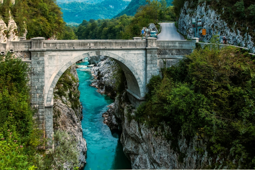 Best Nature Pics Best Nature Pics
