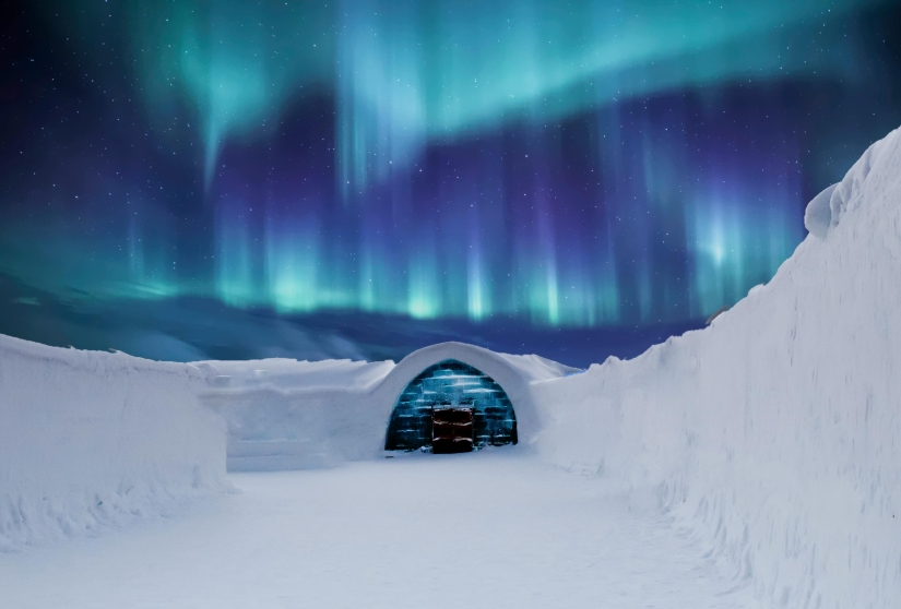 Best Nature Pics Best Nature Pics