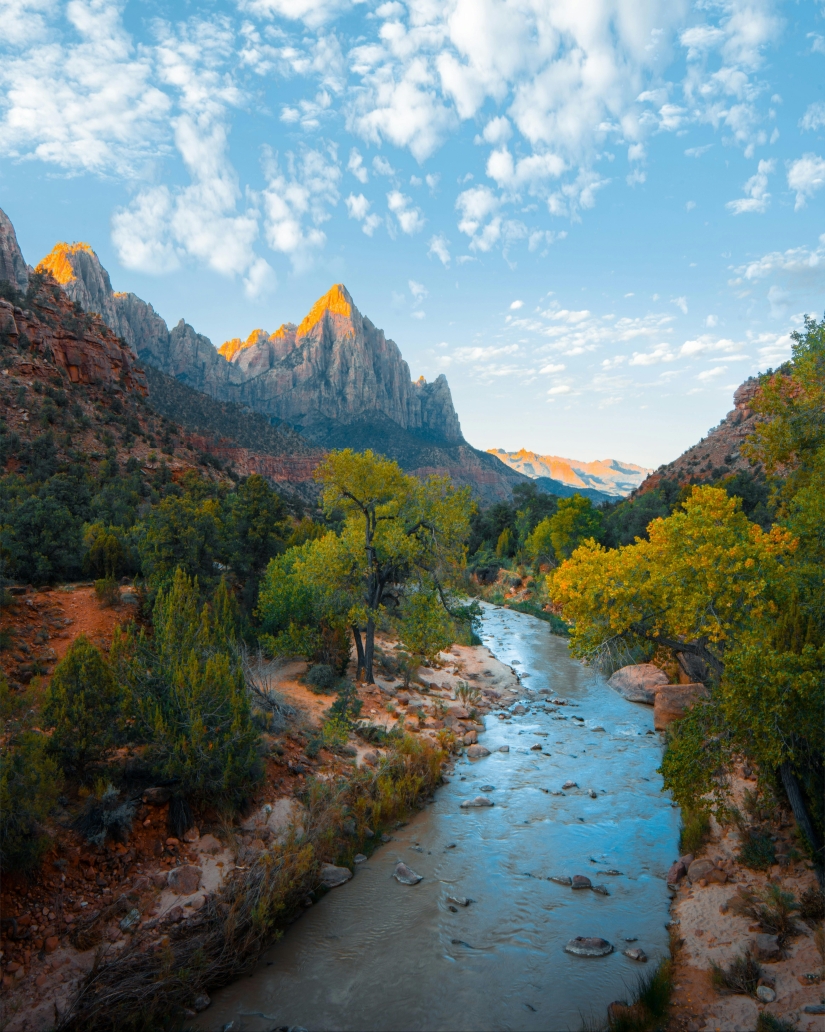 Best Nature Pics Best Nature Pics