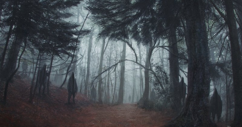 Bosque de Hoia Baciu: por qué este lugar tiene fama de “Triángulo de las Bermudas rumanas” Bosque de Hoia Baciu: por qué este lugar tiene fama de “Triángulo de las Bermudas rumanas”