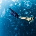 Caminar bajo el agua: los intrépidos buceadores están rodeados por miles de medusas Caminar bajo el agua: los intrépidos buceadores están rodeados por miles de medusas