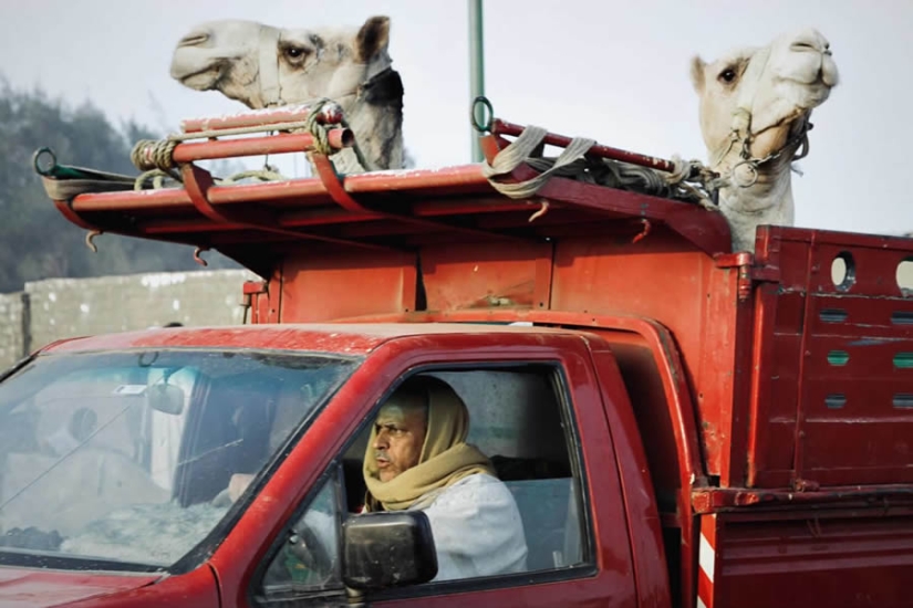 Capturing Human Stories: A Decade of Adventure in Street and Travel Photography by Gil Kreslavsky
