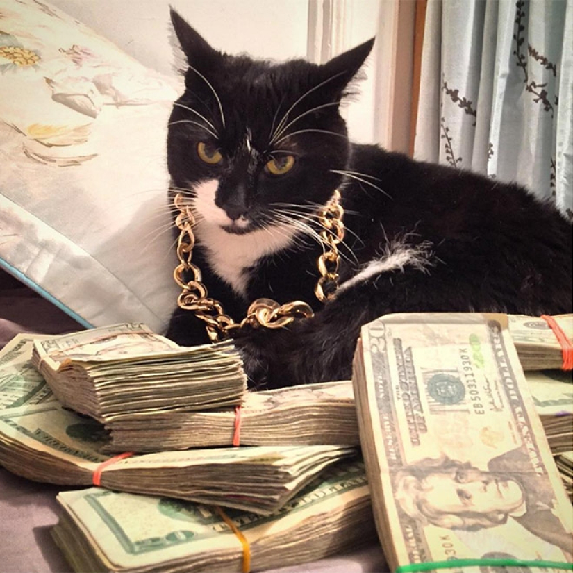 Cards, money, two barrel: 20 gangsteritto photos from instagram Cards, money, two barrel: 20 gangsteritto photos from instagram