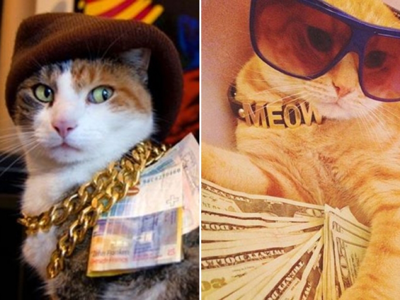 Cards, money, two barrel: 20 gangsteritto photos from instagram Cards, money, two barrel: 20 gangsteritto photos from instagram