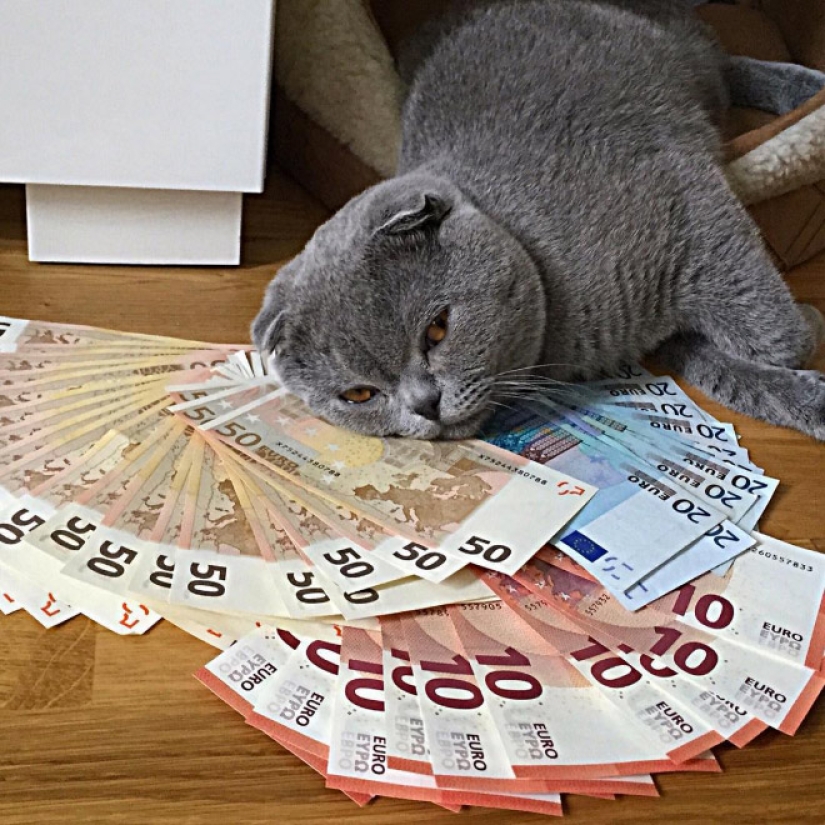 Cards, money, two barrel: 20 gangsteritto photos from instagram Cards, money, two barrel: 20 gangsteritto photos from instagram