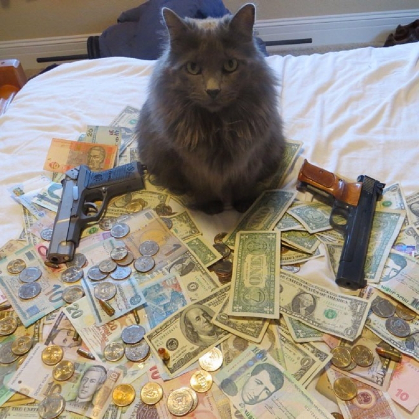 Cards, money, two barrel: 20 gangsteritto photos from instagram Cards, money, two barrel: 20 gangsteritto photos from instagram