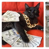 Cards, money, two barrel: 20 gangsteritto photos from instagram Cards, money, two barrel: 20 gangsteritto photos from instagram