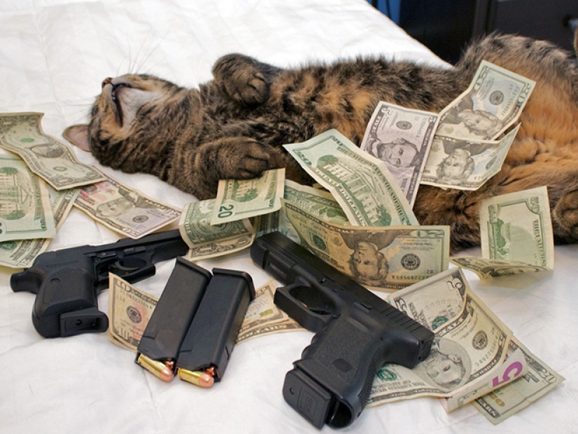 Cards, money, two barrel: 20 gangsteritto photos from instagram Cards, money, two barrel: 20 gangsteritto photos from instagram