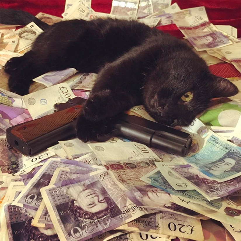 Cards, money, two barrel: 20 gangsteritto photos from instagram Cards, money, two barrel: 20 gangsteritto photos from instagram