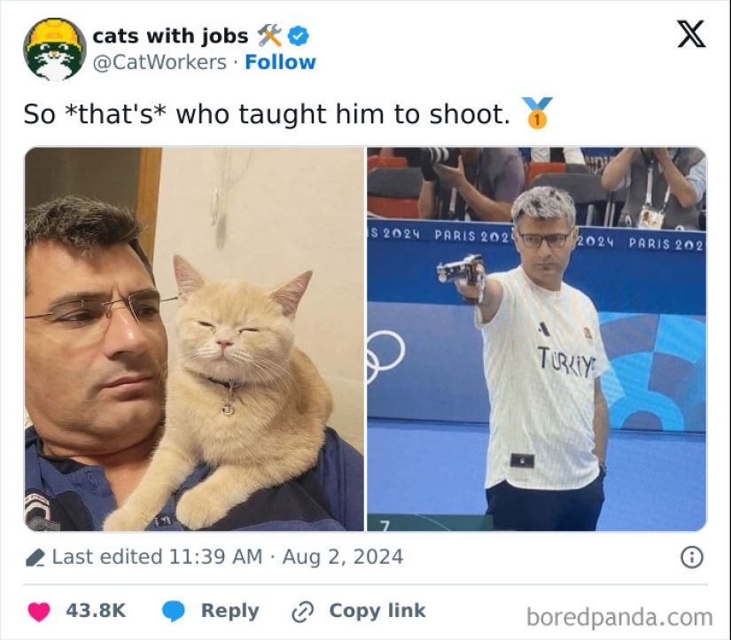 “Cats With Jobs”: 10 Hardworking Cats Who Deserve A Day Off