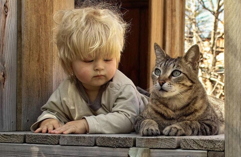Charming photos proving that your child needs a cat