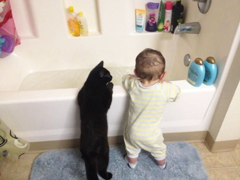 Charming photos proving that your child needs a cat
