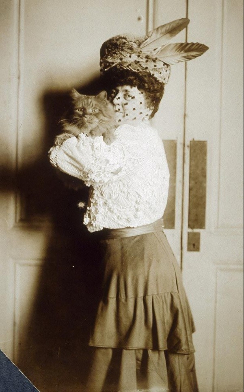 Charming vintage cats that will prove that cats have ruled the world at all times Charming vintage cats that will prove that cats have ruled the world at all times