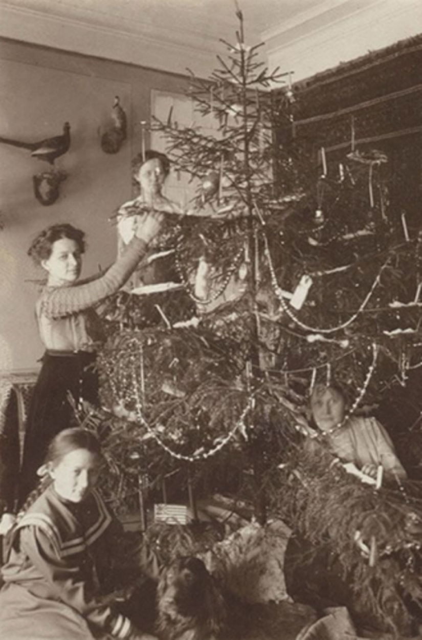 Christmas in a royal way: how was the main winter holiday celebrated in the Romanov family Christmas in a royal way: how was the main winter holiday celebrated in the Romanov family